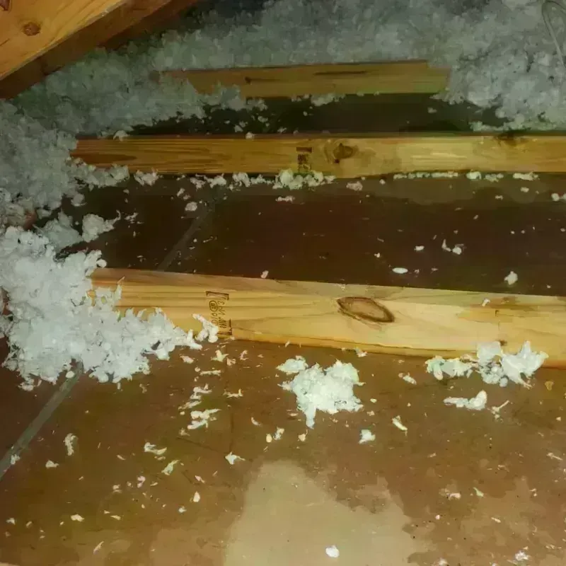 Attic Water Damage in Van Buren, ME