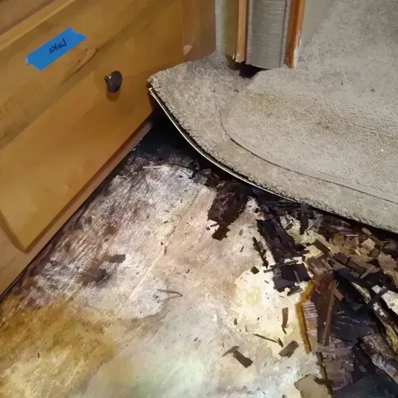 Best Wood Floor Water Damage Service in Van Buren, ME